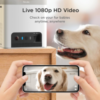 Petcube Bites 2 Lite 徹底レビュー：実際に使ってわかったこと
