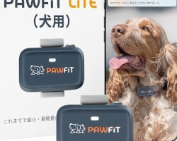 Pawfit Lite 4G：徹底レビュー