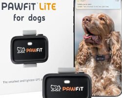Pawfit Lite 4G: reseña completa