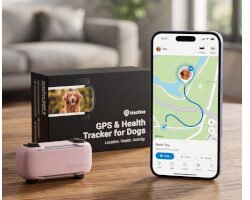 Dog GPS Trackers: Tractive GPS vs. Fi Series 3