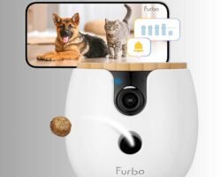 Furbo 360° vs Petcube Bites 2 Lite: ¿cuál cámara para mascotas comprar?